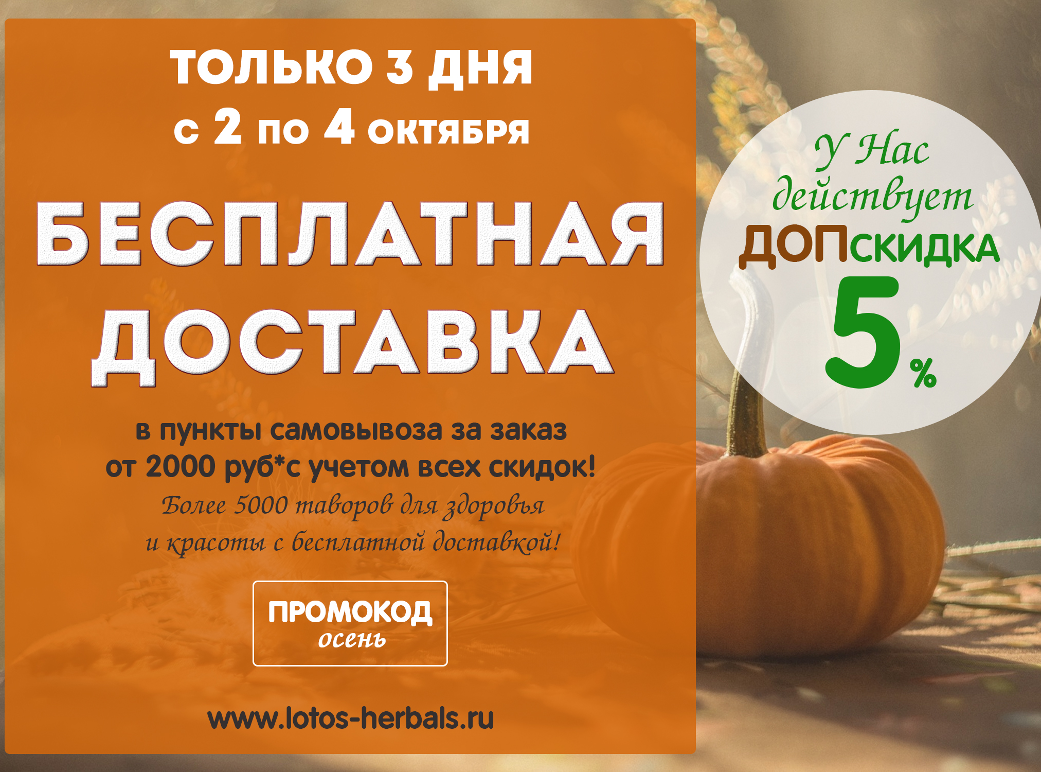 Бесплатная доставка + Дополнительная скидка 5%!