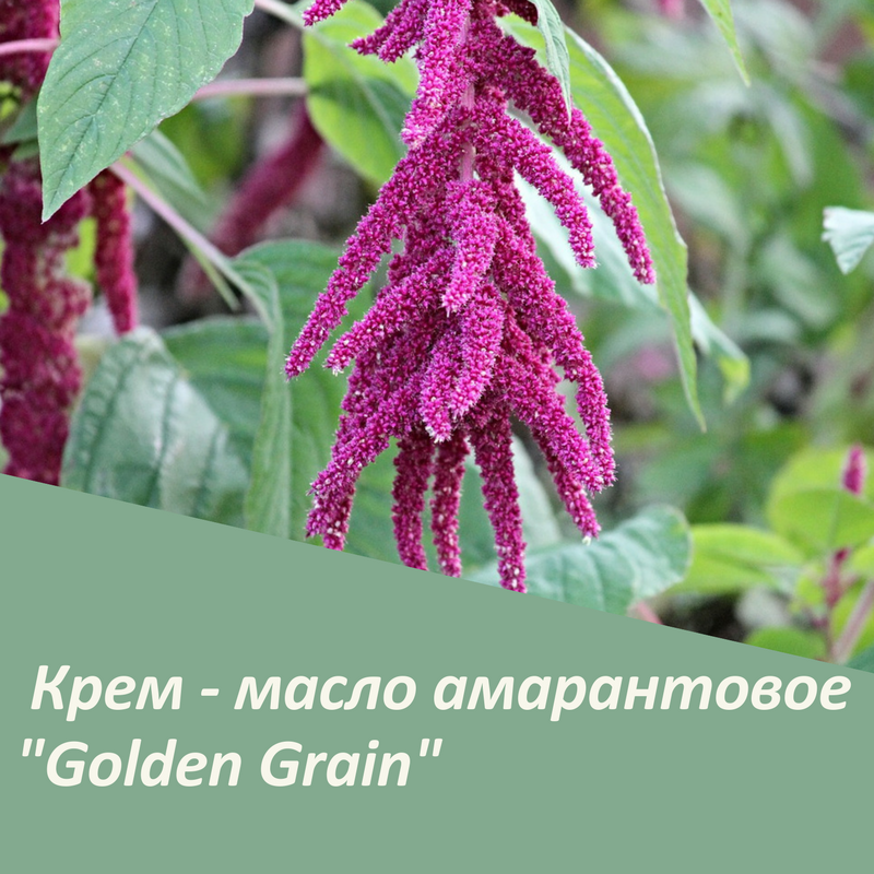 Крем - масло амарантовое 