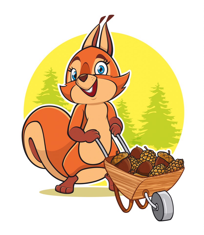 Кладовая Белки