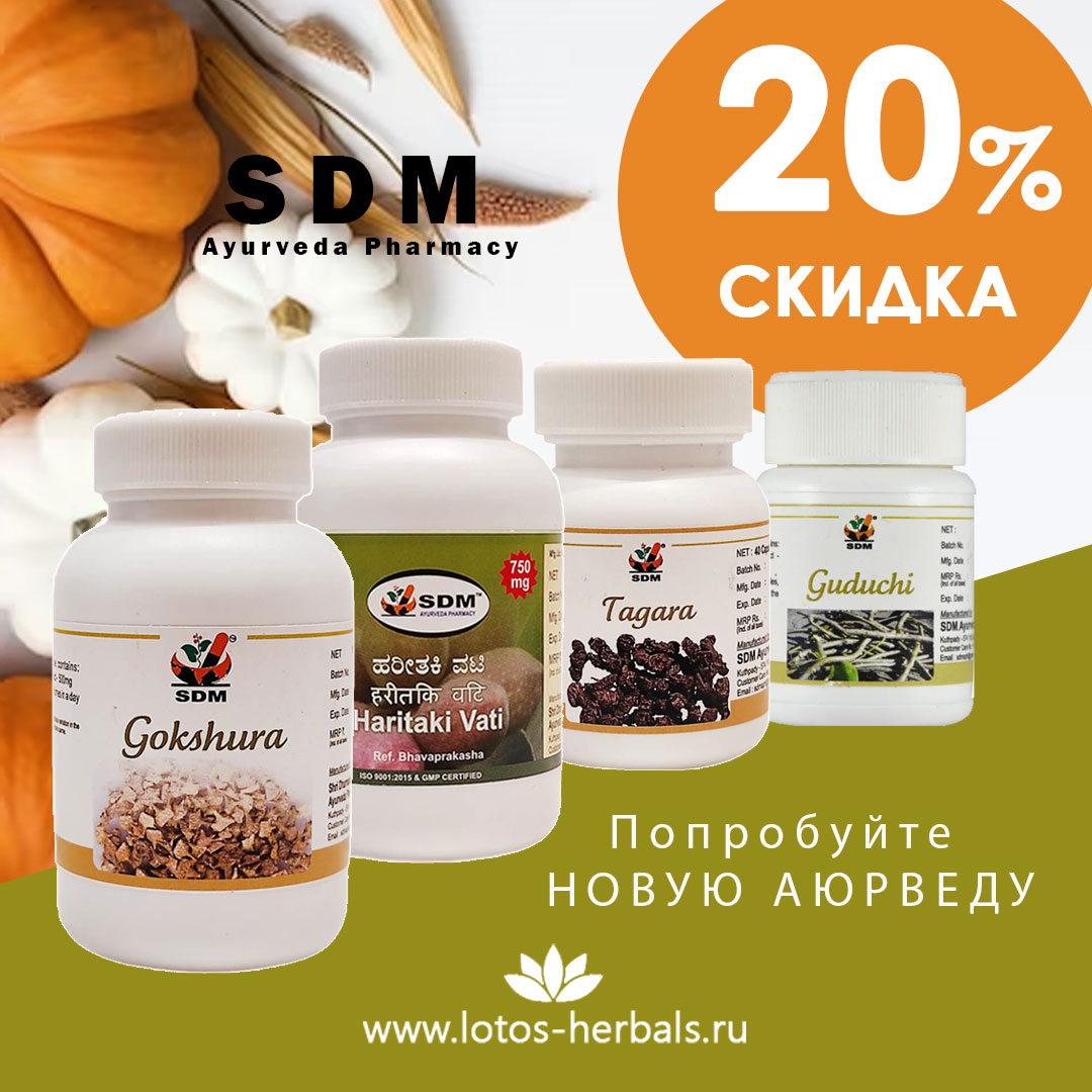 Скидка 20% на новинки от производителя SDM