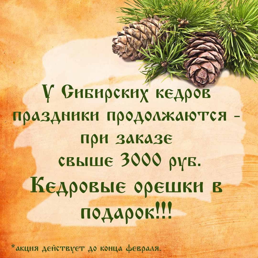 Акция - при покупке на сайте от 3000 руб. - кедровые орешки в подарок!