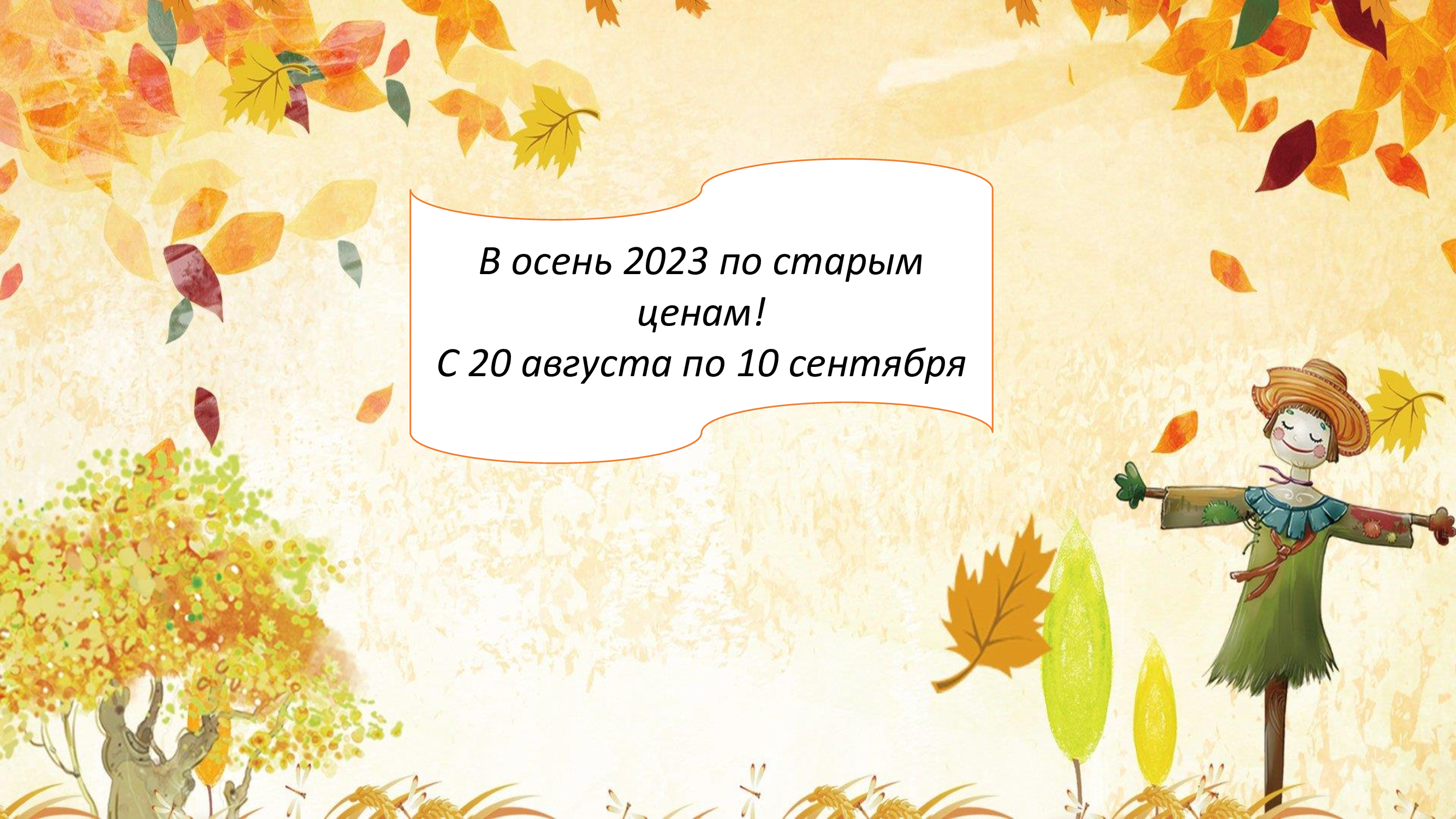 Старые цены до 10 сентября!