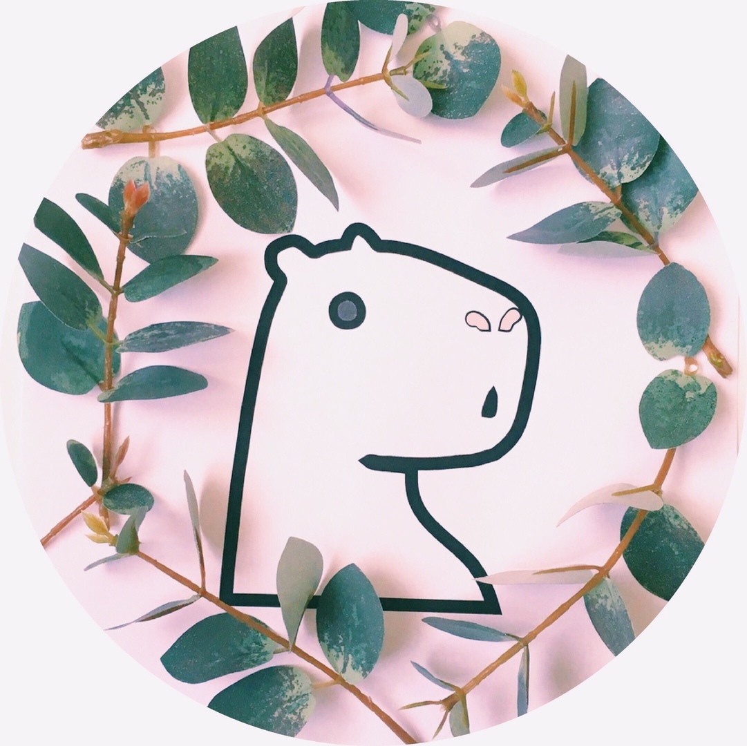 CAPYBARA SHOP / Экомагазин Капибара Череповец