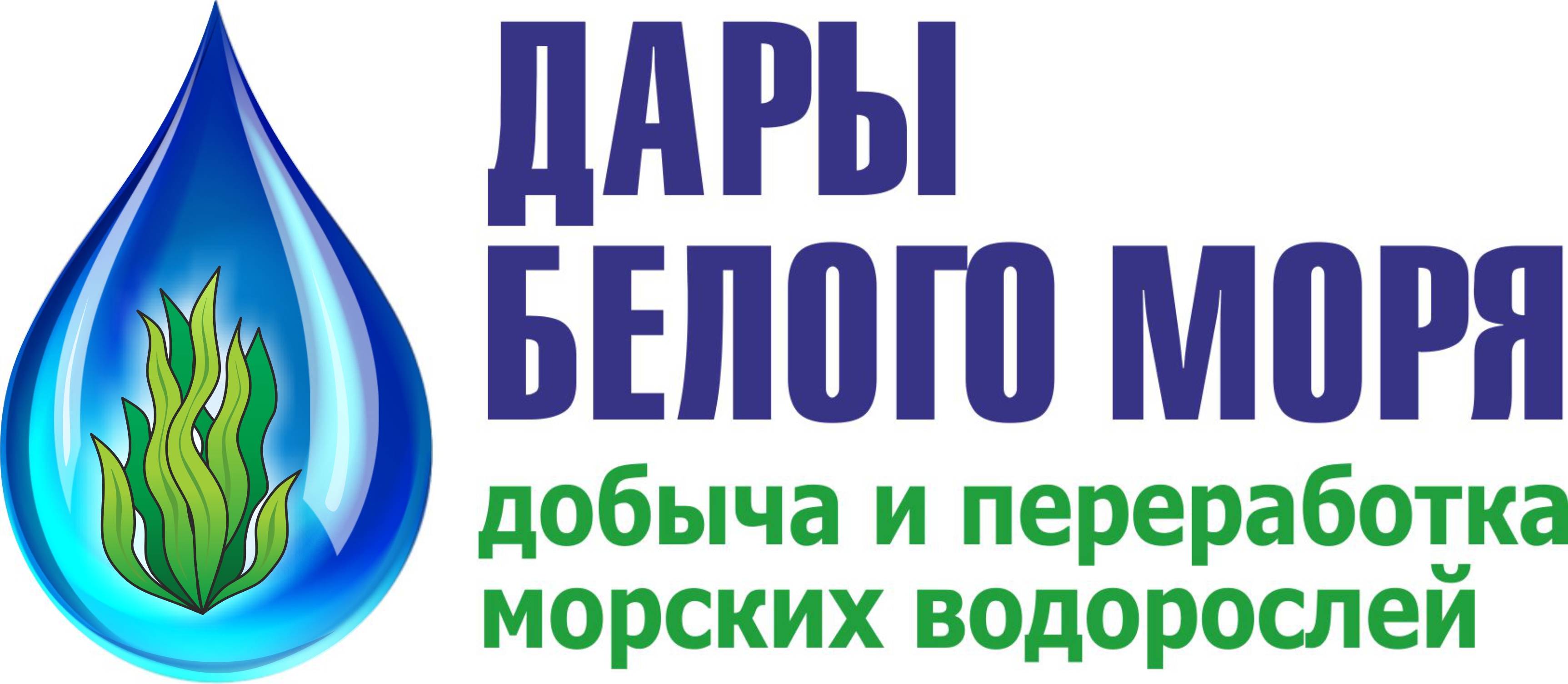 Дары Белого моря