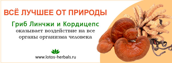 Секрет здоровья и долголетия!