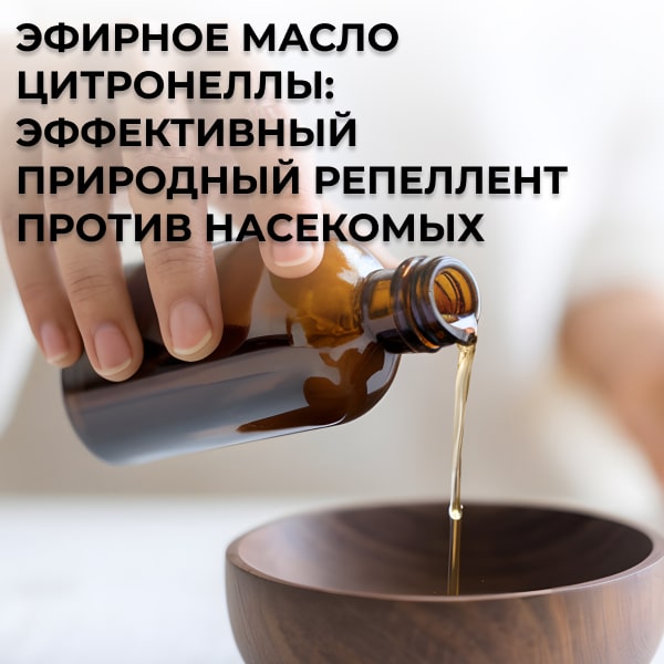 Эфирное масло цитронеллы: эффективный природный репеллент против насекомых