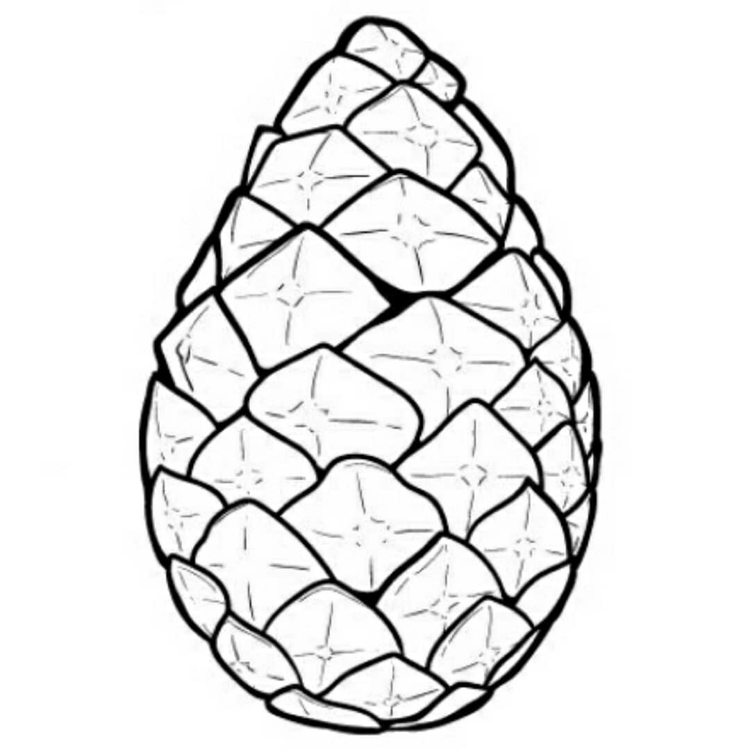 Сибирские Кедры