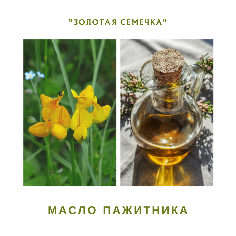 Масло пажитника «Золотая семечка»