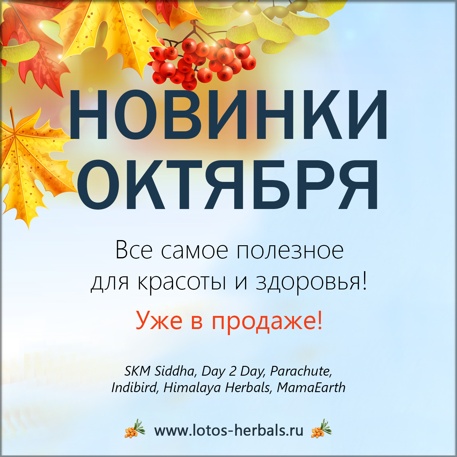 Такого Вы еще не видели! Уже в продаже!