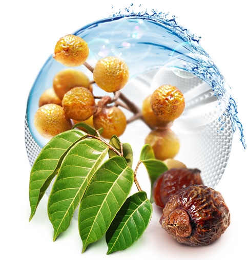 Мыльные орехи