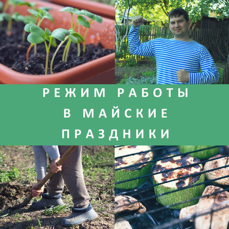  Режим работы в майские праздники