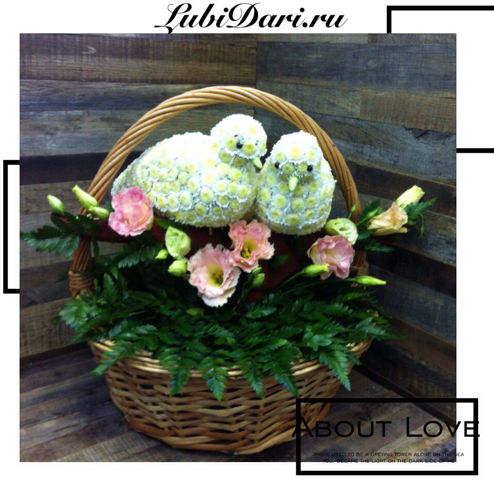 Люби Дари - необычайные цветы  - 09.08.2015 - Удивить цветами на в...