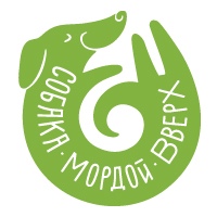 Йога-студия "Собака Мордой Вверх""