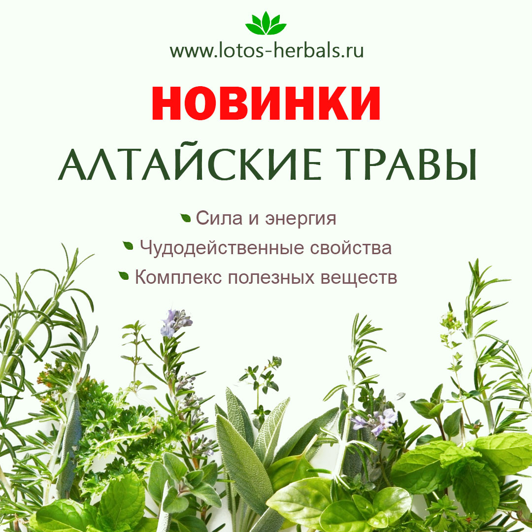 Алтайские травы, новое поступление!