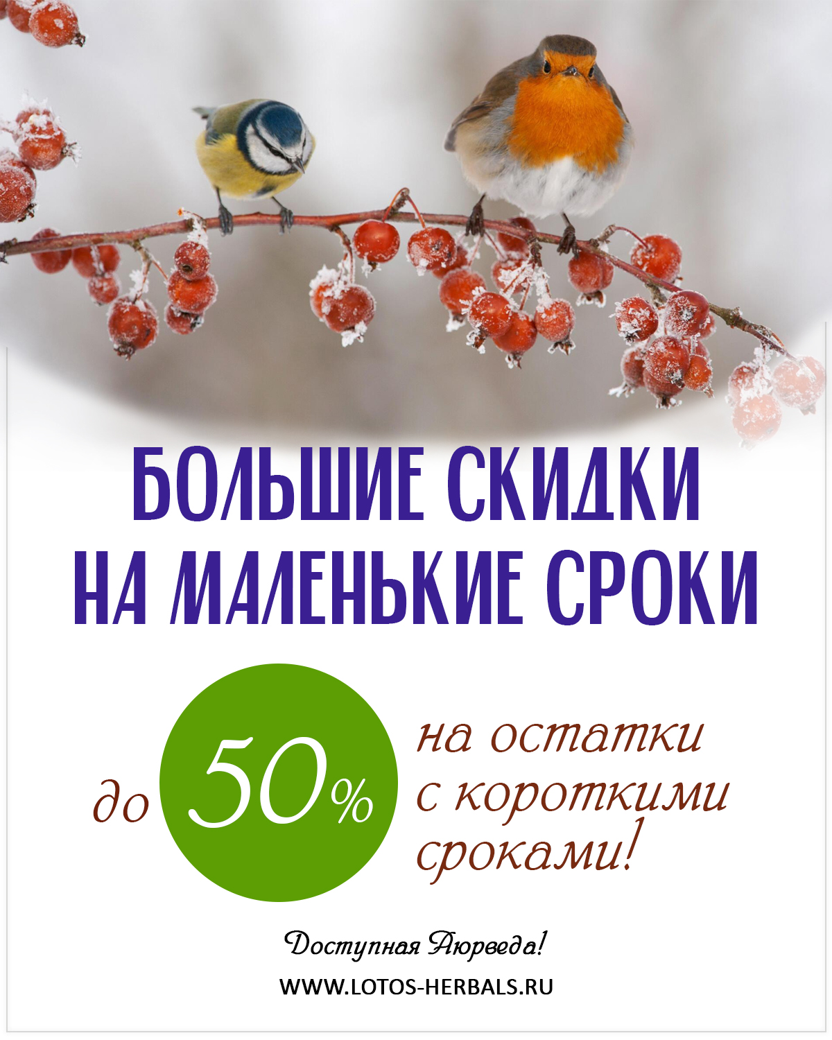 Большие скидки, на маленькие сроки!